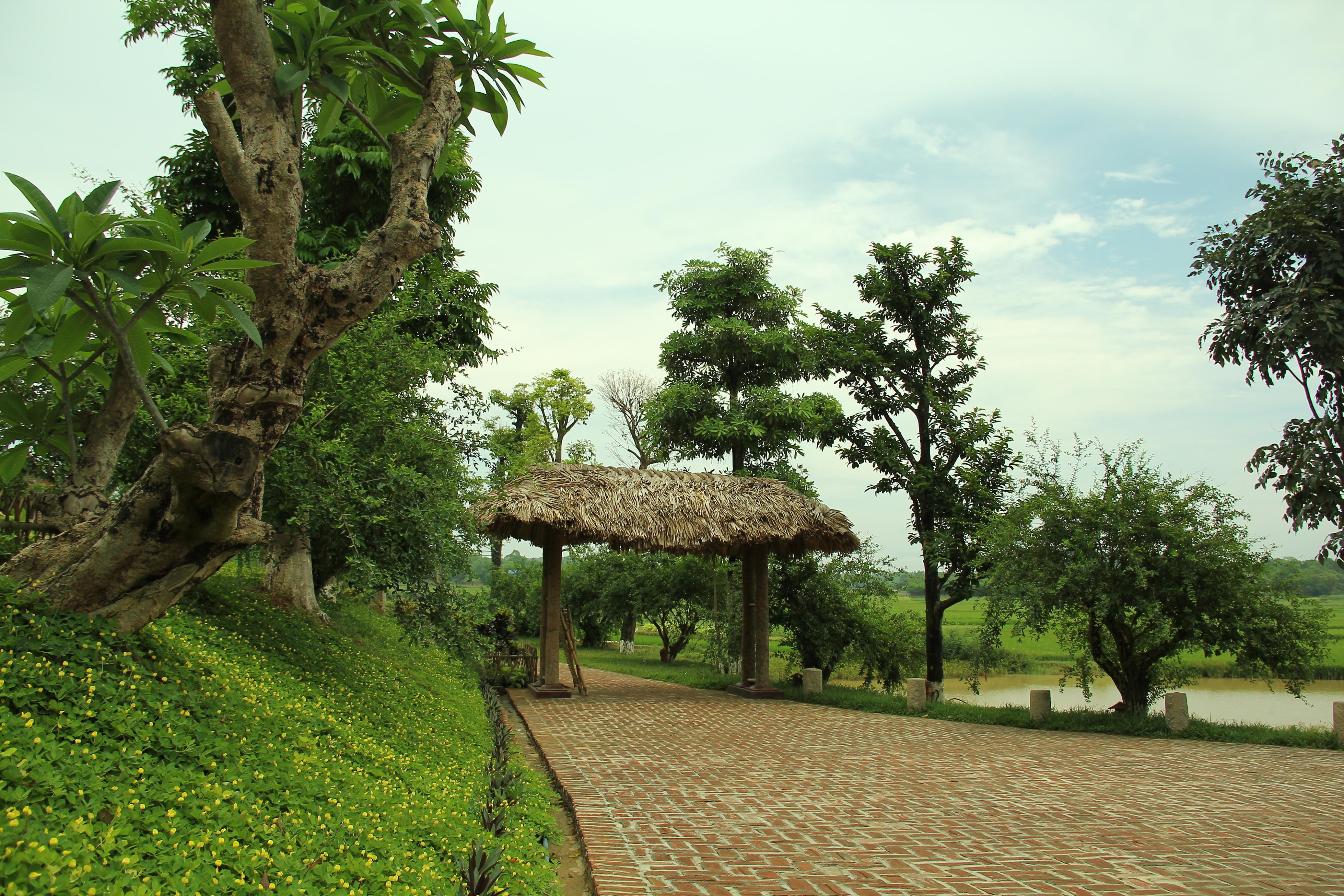 MoonGarden Homestay, Hè lãng du