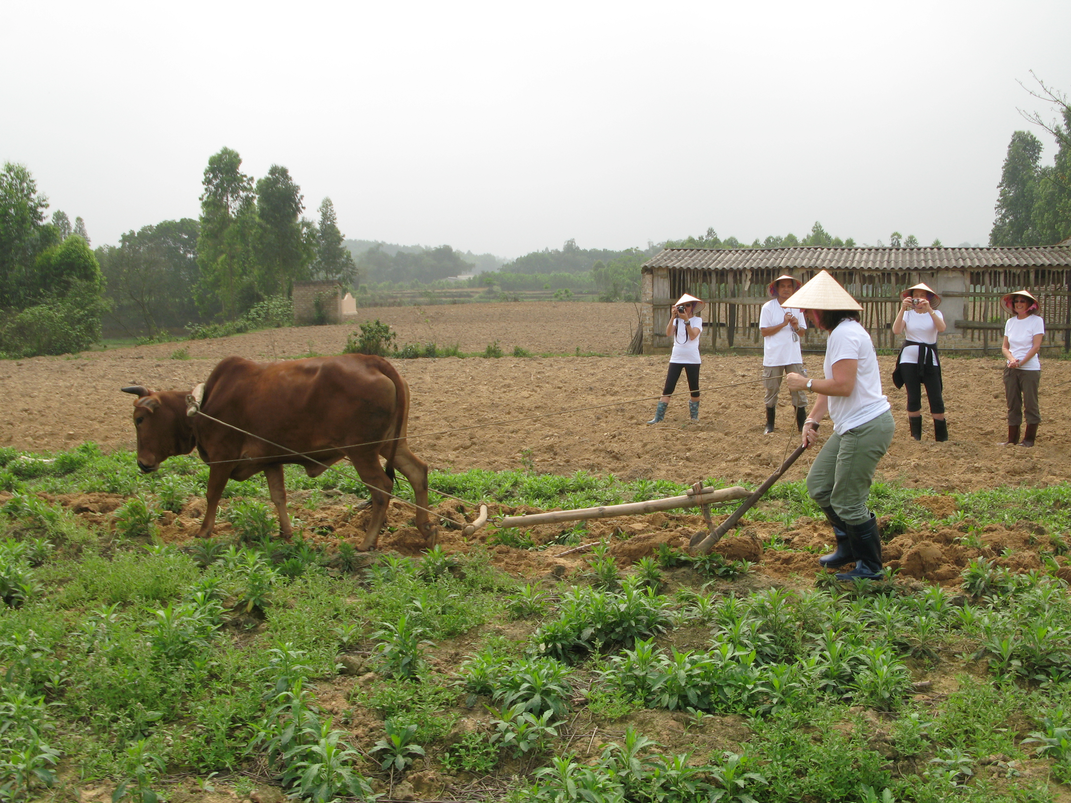 working at the farm