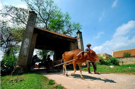 Duong Lam ancient village